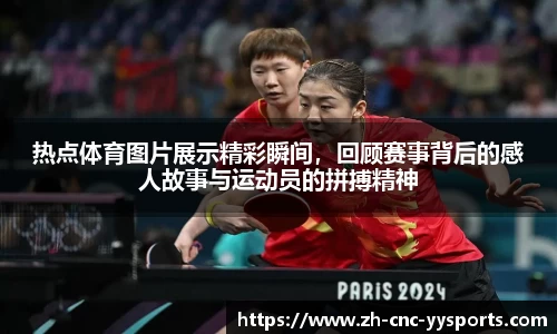 热点体育图片展示精彩瞬间，回顾赛事背后的感人故事与运动员的拼搏精神
